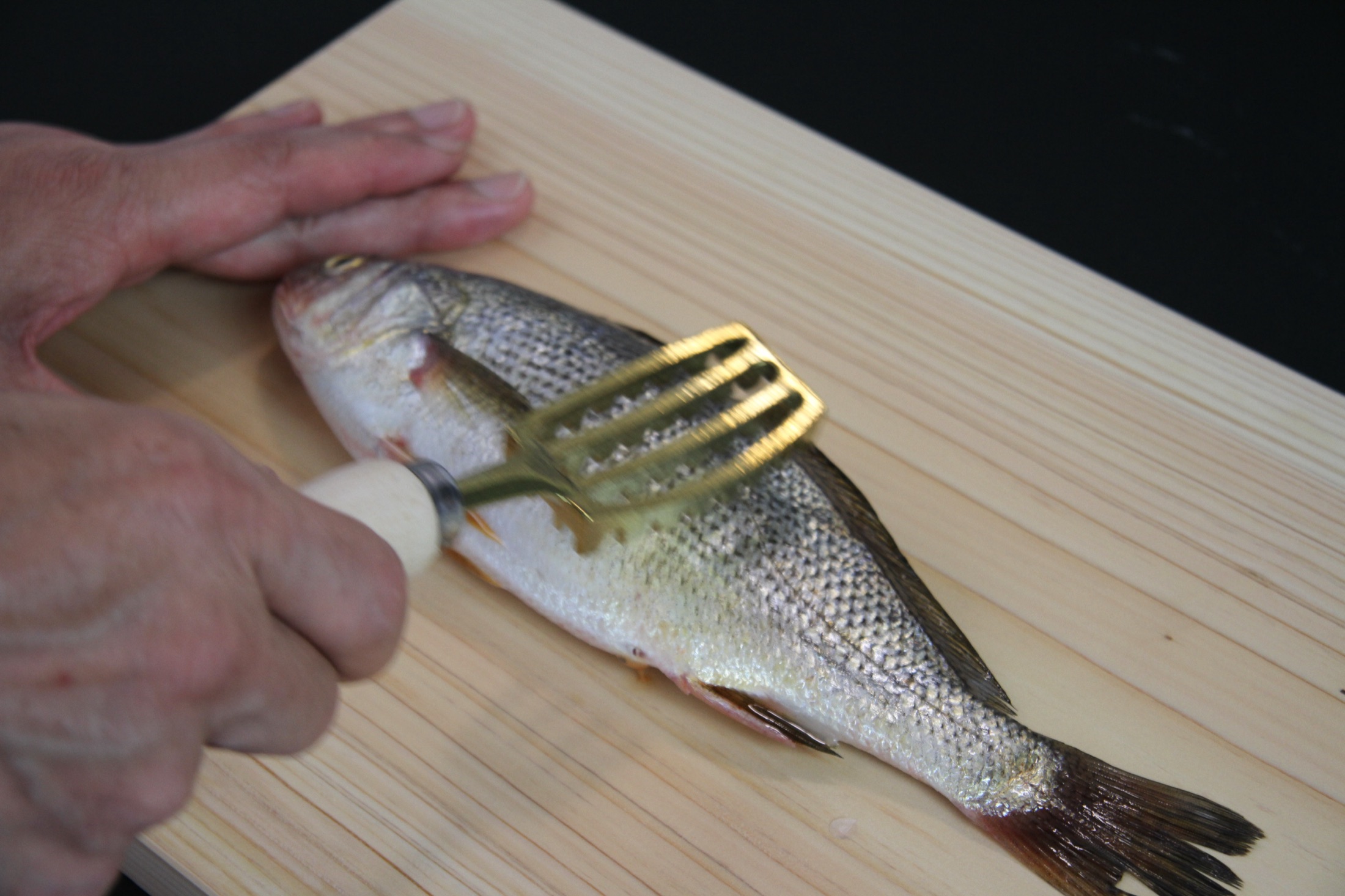 魚君の形状と使い心地
